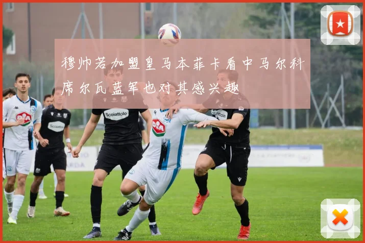 穆帅若加盟皇马本菲卡看中马尔科席尔瓦蓝军也对其感兴趣