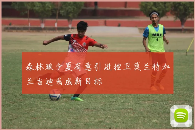森林狼今夏有意引进控卫莫兰特加兰吉迪或成新目标